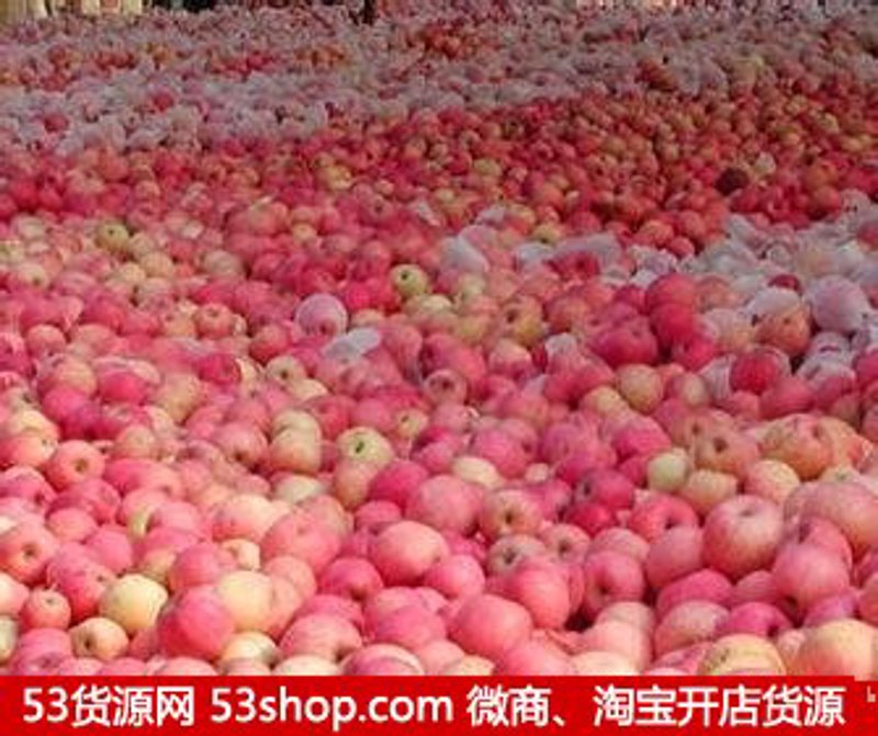 日用百货批发：紧跟市场潮流的购物新体验